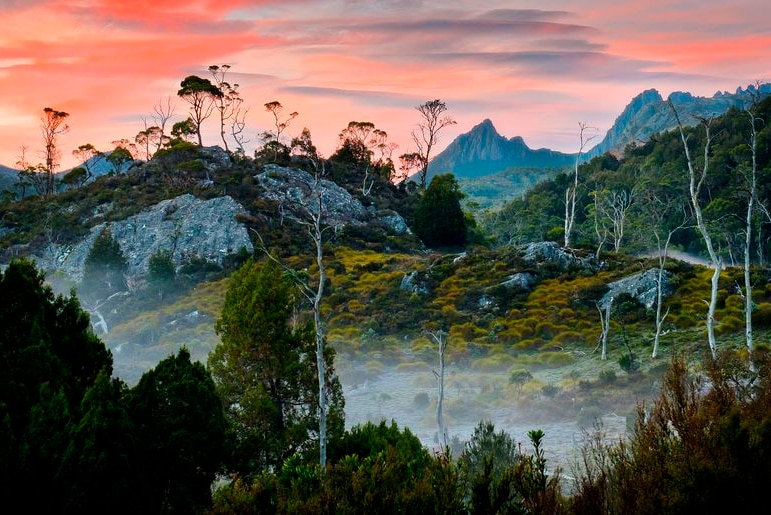 Steep, craggy hills with green shrubs and grey tree trunks with some mist in the foreground