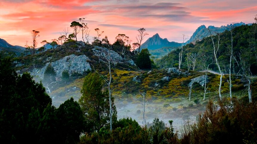 Steep, craggy hills with green shrubs and grey tree trunks with some mist in the foreground