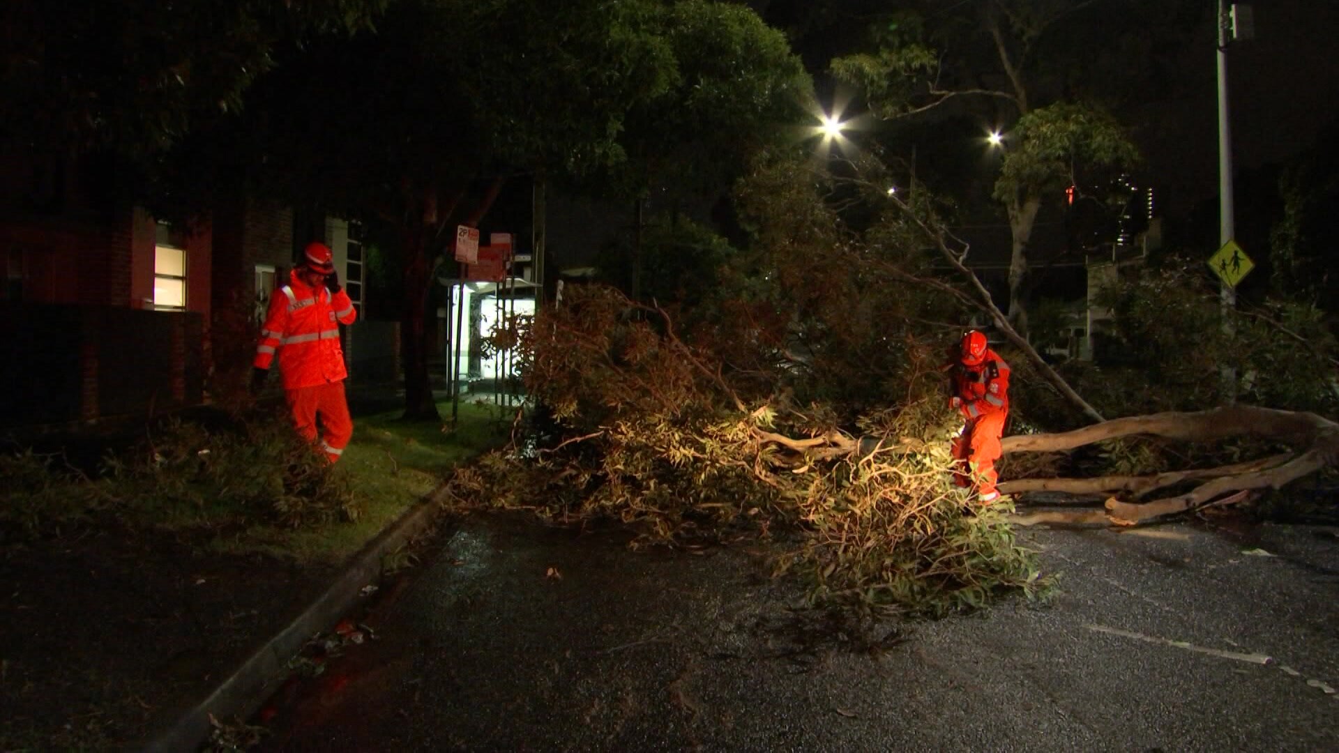 Two SES workers clearing a tree at night during high wind
