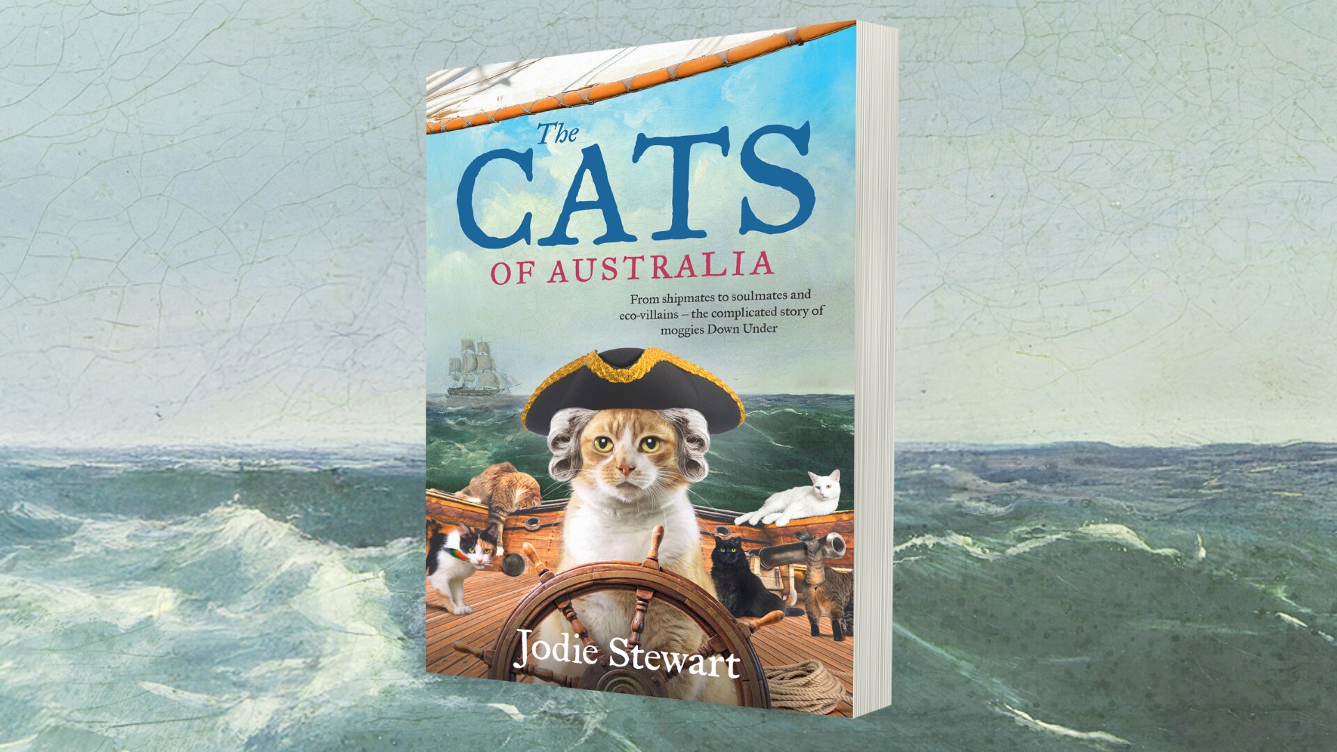 Book cover of The Cats of Australia