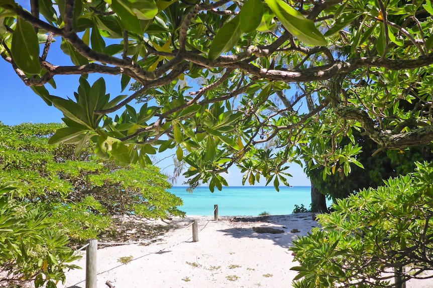 A sand path shaded by trees lead to a white beach with aqua-coloured water.