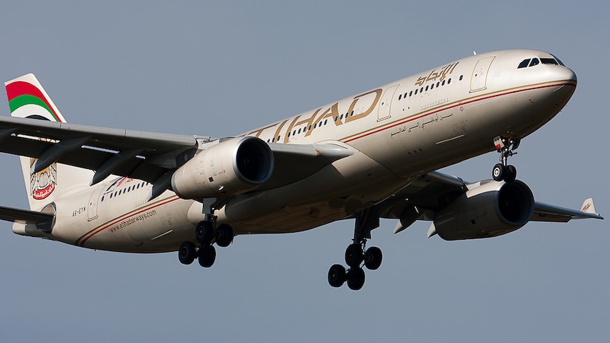 Etihad Airways Airbus flight flying.