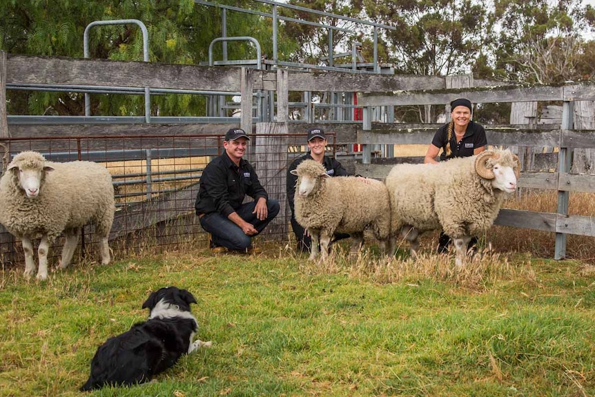 David McSorley, Jessica Kimpton and  Kirstin Feddersen and flock