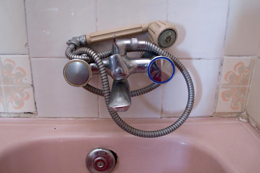 Taps and hose of a bathtub.
