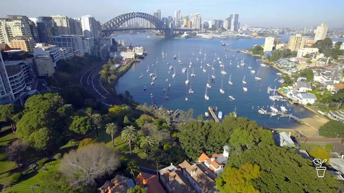 Aerial view of gardens with Sydney Harbour and the Harbour Bridge in the background