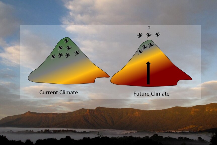 A diagram of two mountains with colours and frog icons at top