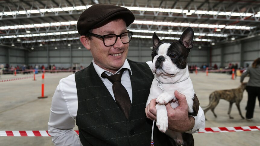Boston Terrier owner Sean Manning with his three-year-old Grand Champion, Jericho.