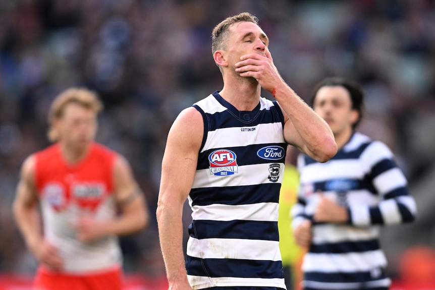 Joel Selwood reacts after Geelong wins AFL grand final.