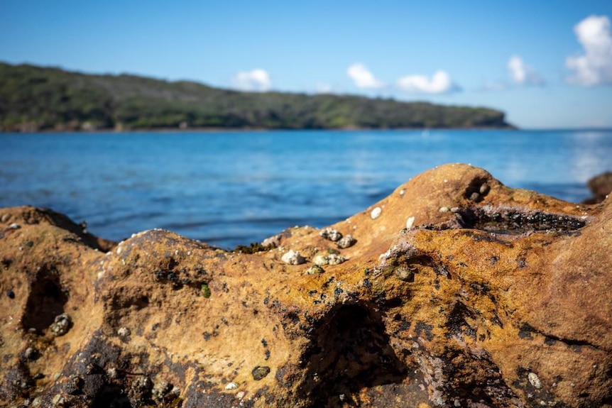 Rocks by the sea