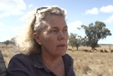 Fiona Simson on her cattle property near Tamworth