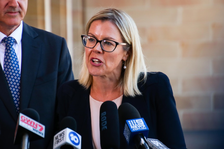 A head and shoulders shot of WA Liberal Party deputy leader Libby Mettam speaking at a media conference.