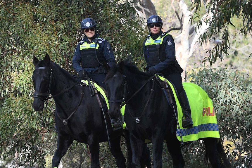 Two mounted police on horseback patrol a park