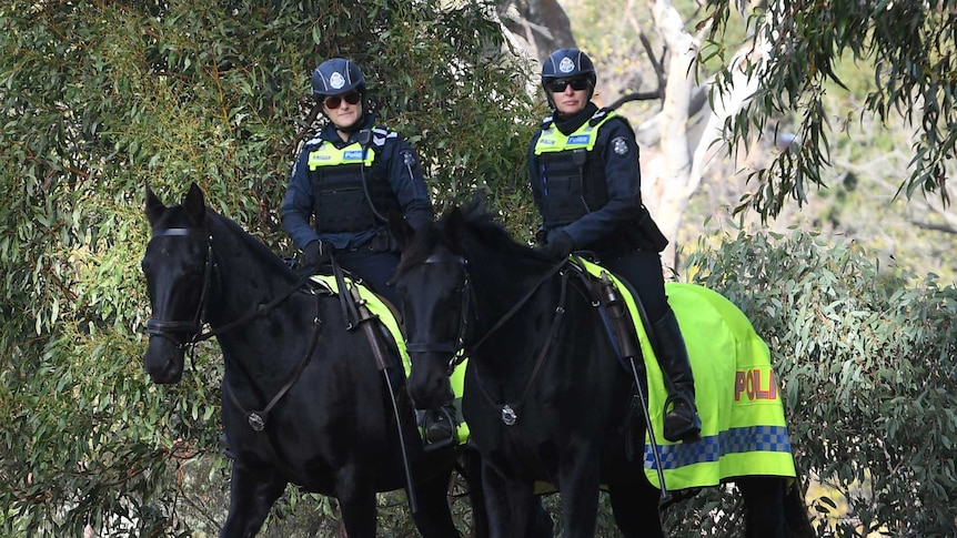 Two mounted police on horseback patrol a park