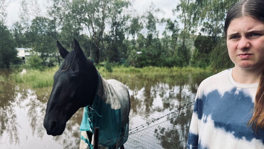 A horse stands in a flooded paddock while a girl looks angry in the corner.