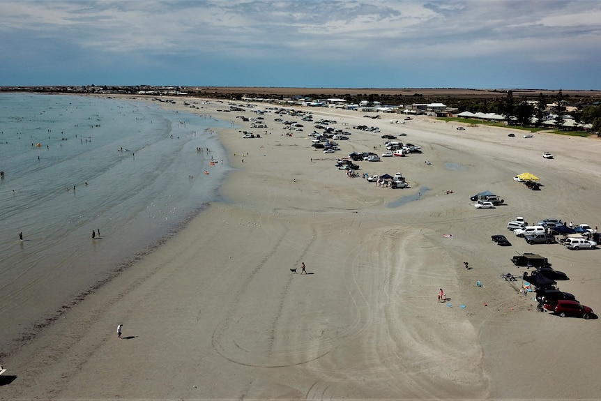 A beach with lots of cars parked on it. 