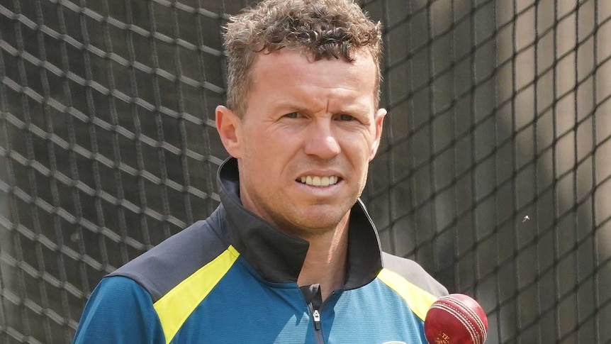 Peter Siddle looks on during training in the MCG nets