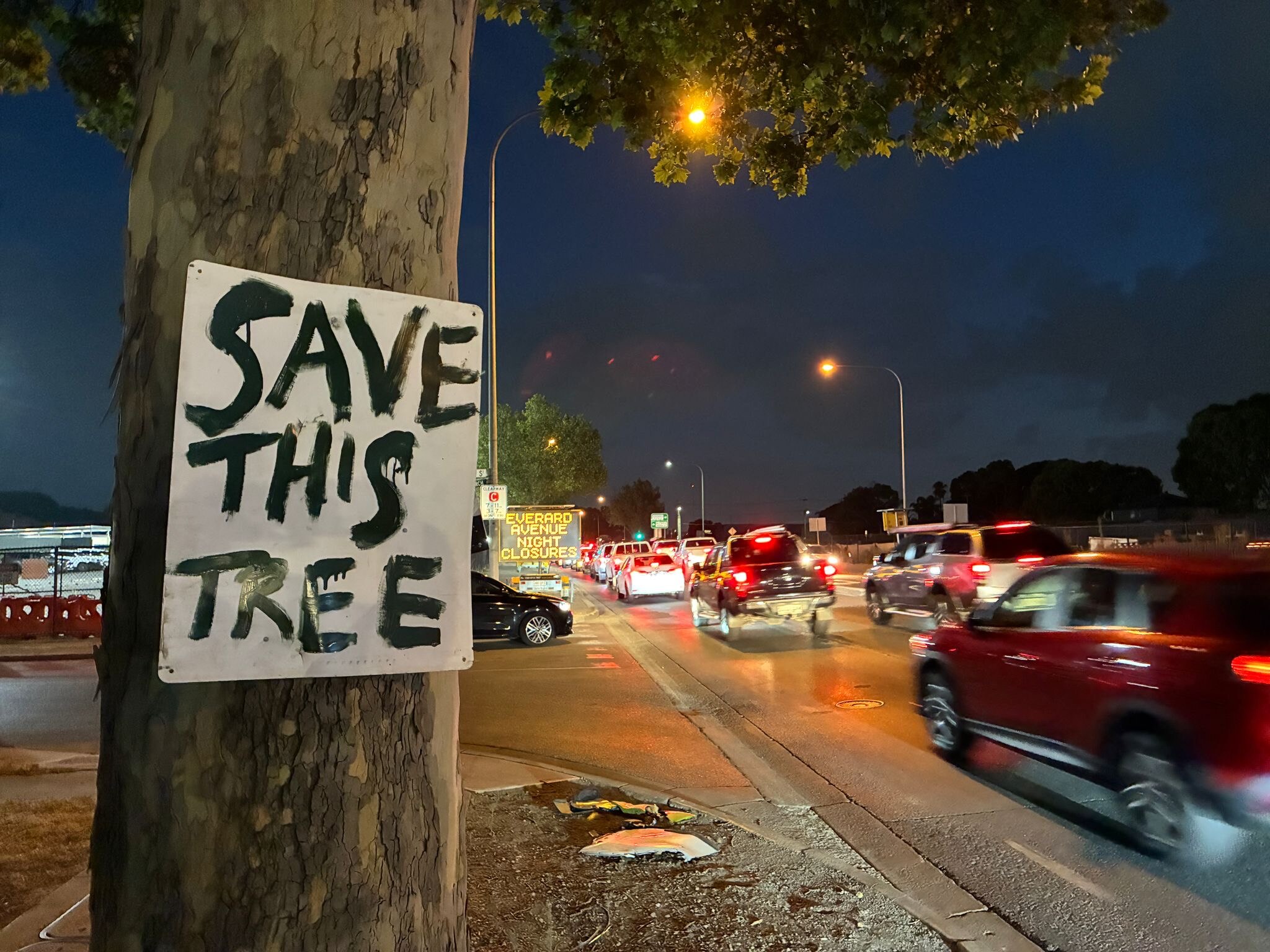 South Road tree signs protest 400 trees lost for T2D roadworks - ABC listen