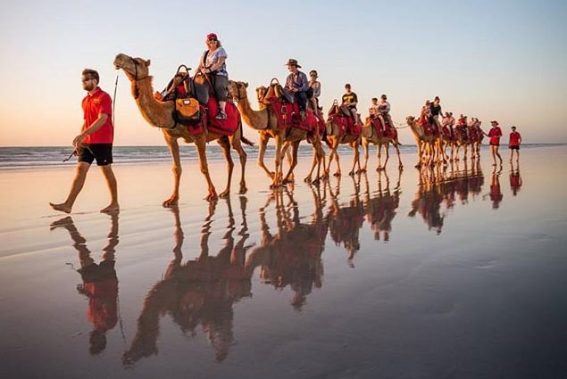 A camel train is reflected in film of water on the beach.