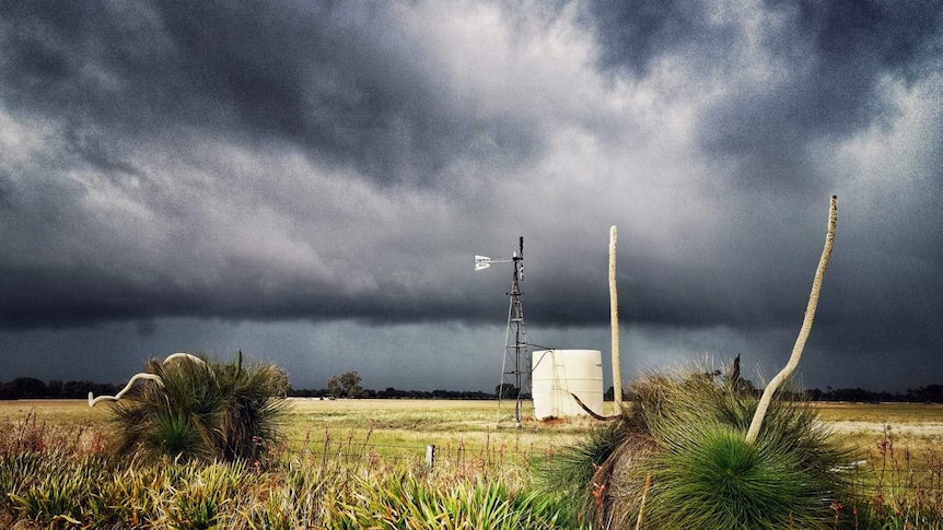 Dark storm clouds build over a field with a windmill and tank,with grass trees in the foreground.