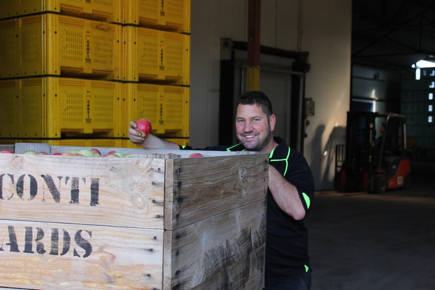 Orchardist Adrian Conti stands behind a crate of apples