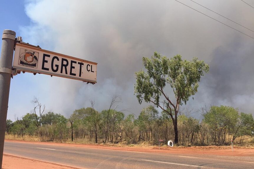 A Egret street sign with trees and smoke in the background.