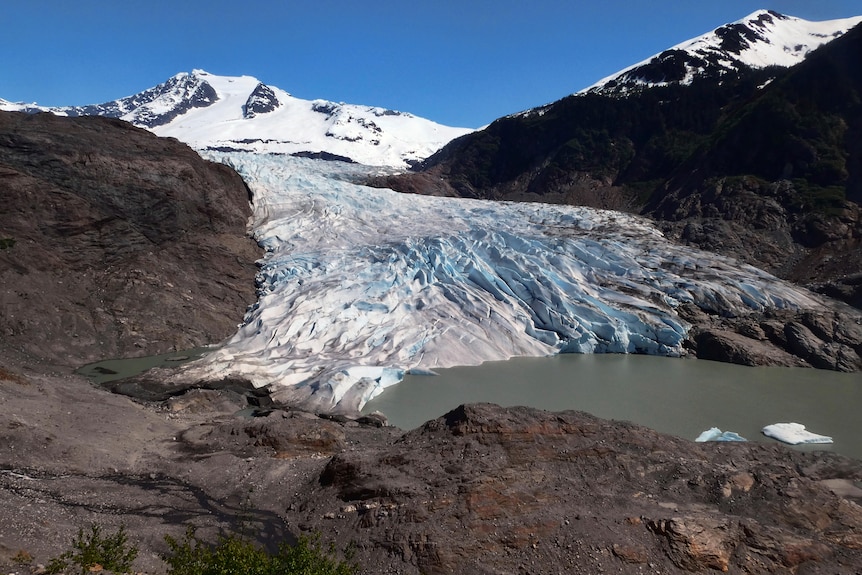 A glacier and a snow capped mountain in the background with chunks of ice floating in water in the foreground. 