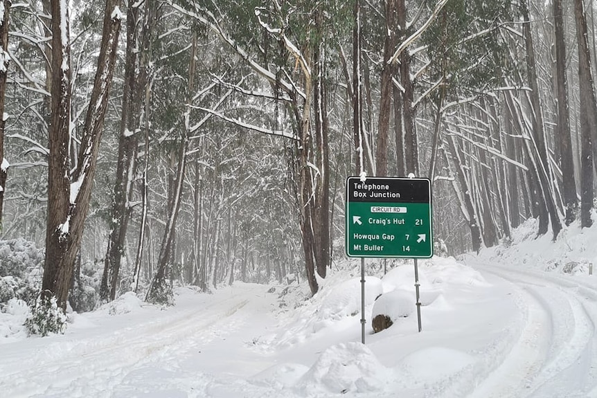 Deep tyre tracks can be seen in thick snow over the roads leading to Craig's Hut and Mt Buller.