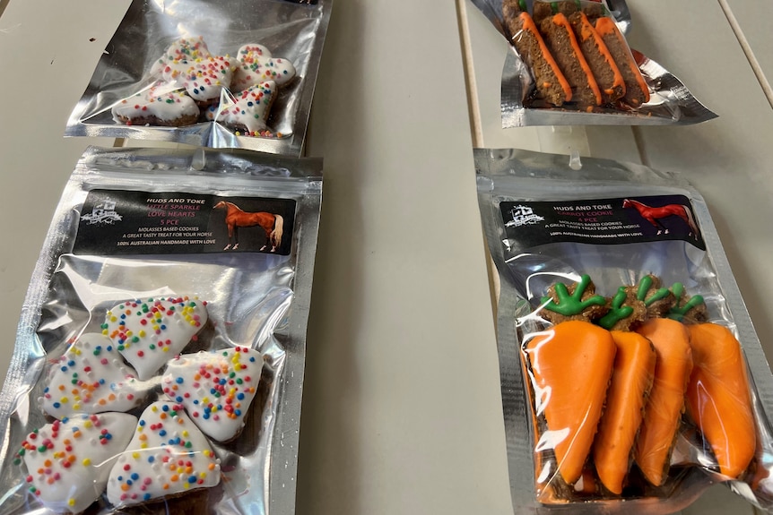 Treats in the shape of carrots and triangles.
