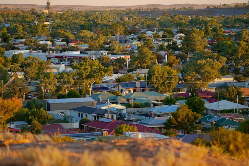 Houses and trees hit with an afternoon light in Broken Hill.