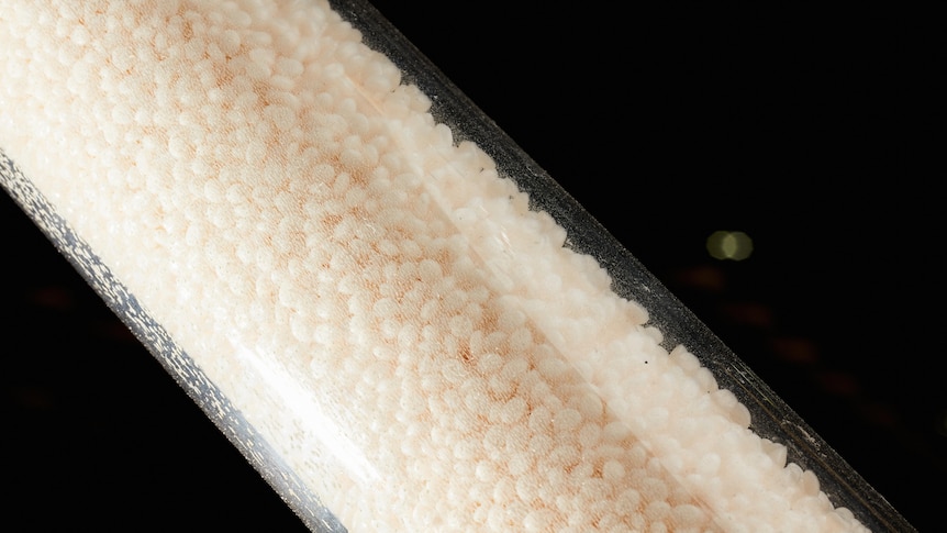 Image of a small white particles in a cylinder.