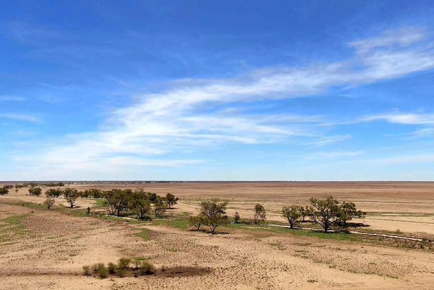 A brown landscape sits beneath a vivid blue sky, with a few green patches of grass remaining.
