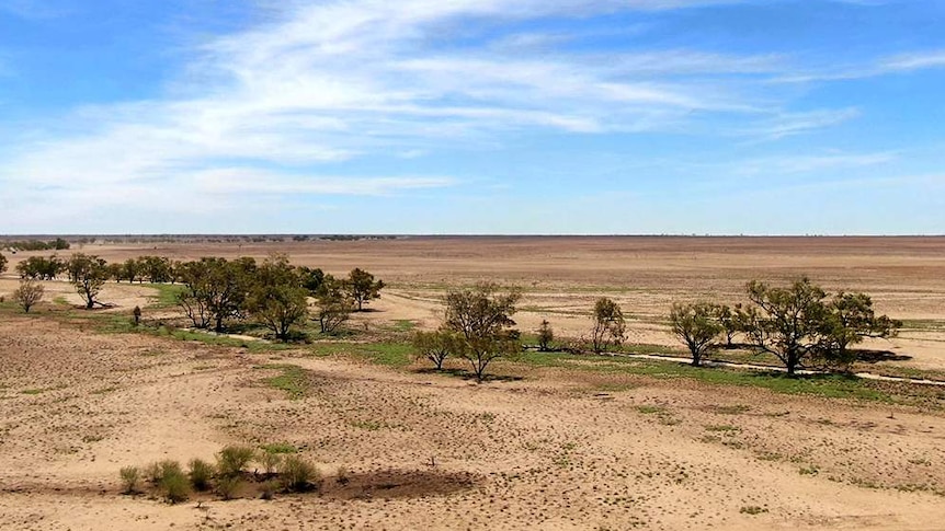 A brown landscape sits beneath a vivid blue sky, with a few green patches of grass remaining.