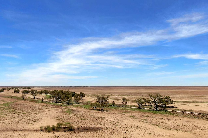 A brown landscape sits beneath a vivid blue sky, with a few green patches of grass remaining.