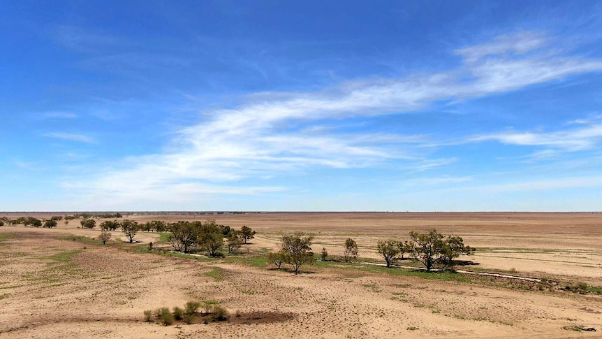 A brown landscape sits beneath a vivid blue sky, with a few green patches of grass remaining.