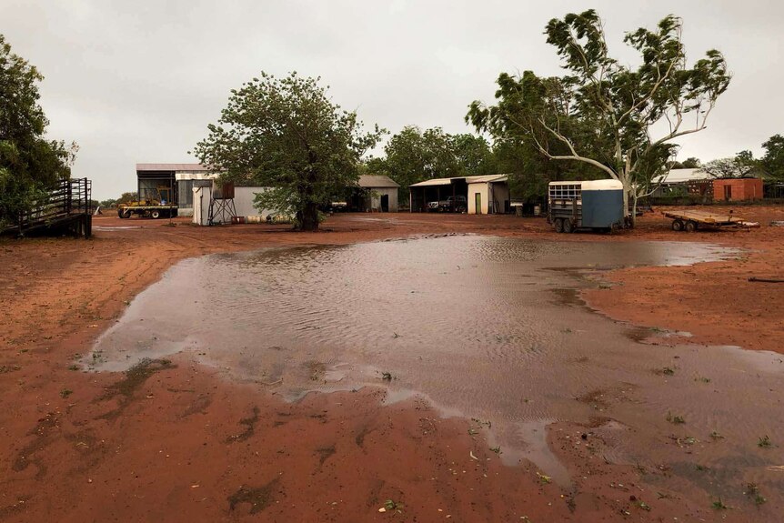A big puddle in red dirt in front of a group of farm buildings.