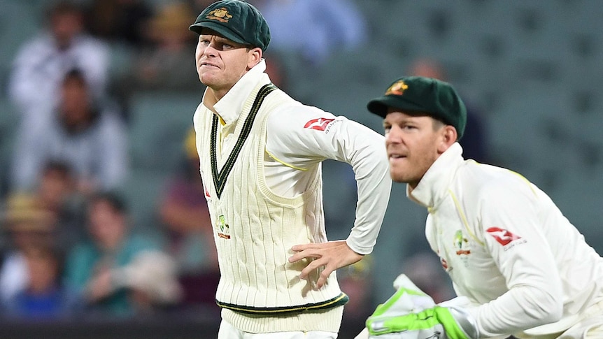 Steve Smith and Tim Paine in the field during a Test match against England