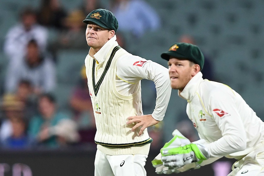 Steve Smith and Tim Paine in the field during a Test match against England