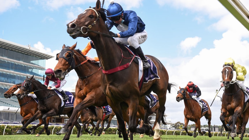 horses about to cross the finish line at Flemington Racecourse