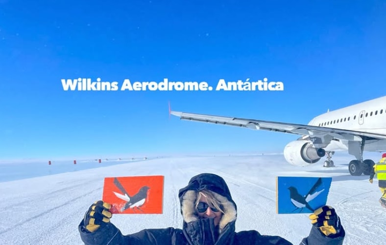 A willie wagtail painting pictured on an icy runway in Antarctica.