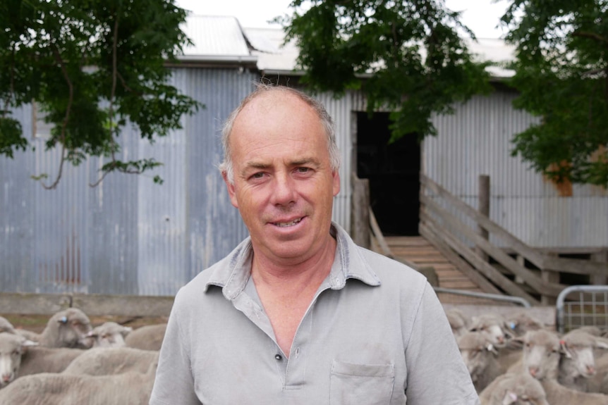 Farmer Steve Harrison standing in front of shearing shed.