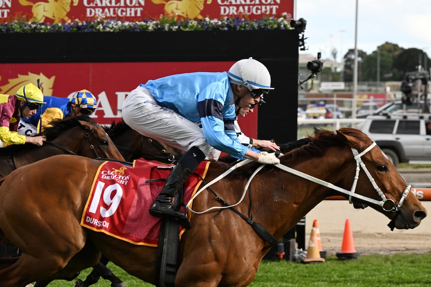 Michael Dee rides Durston to victory in Caulfield Cup.
