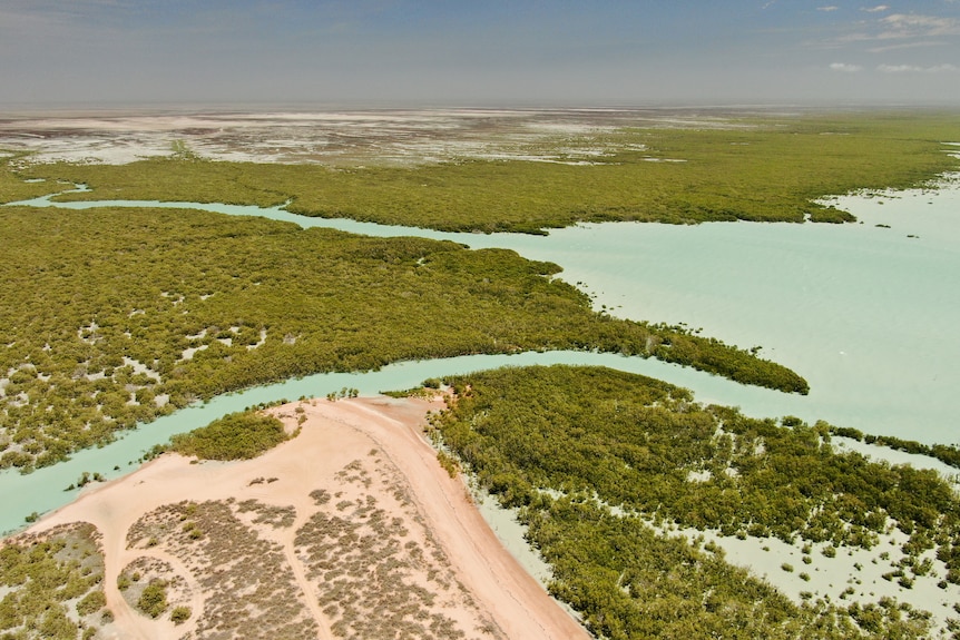 an aerial view of a blue bay and mangroves