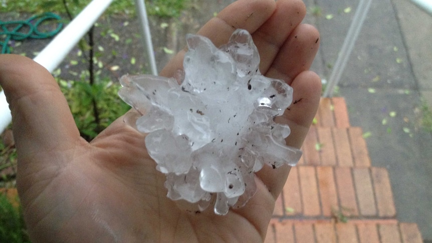 Large hailstone from Brisbane storm