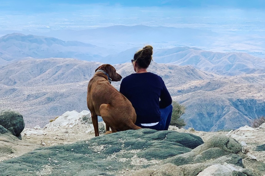 A woman and a dog with backs to camera look out onto a mountain range.
