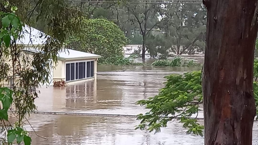 NSW town watches as CBD, hundreds of homes flood for the first time