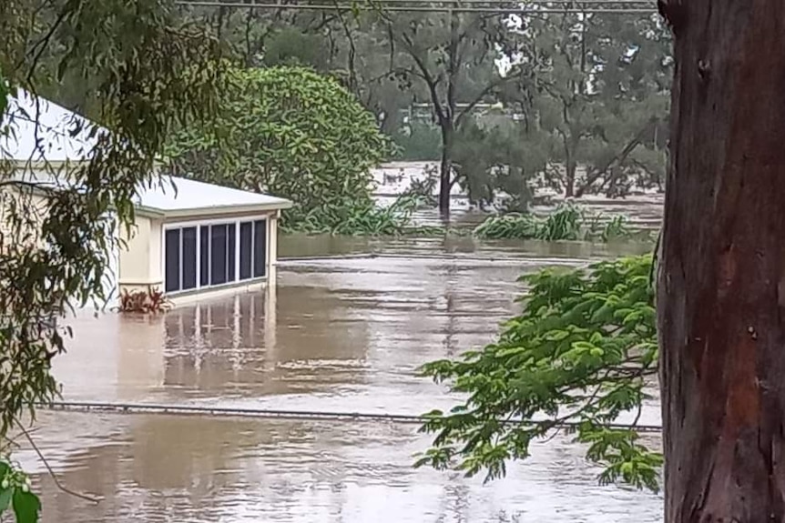 Casino croquet club underwater