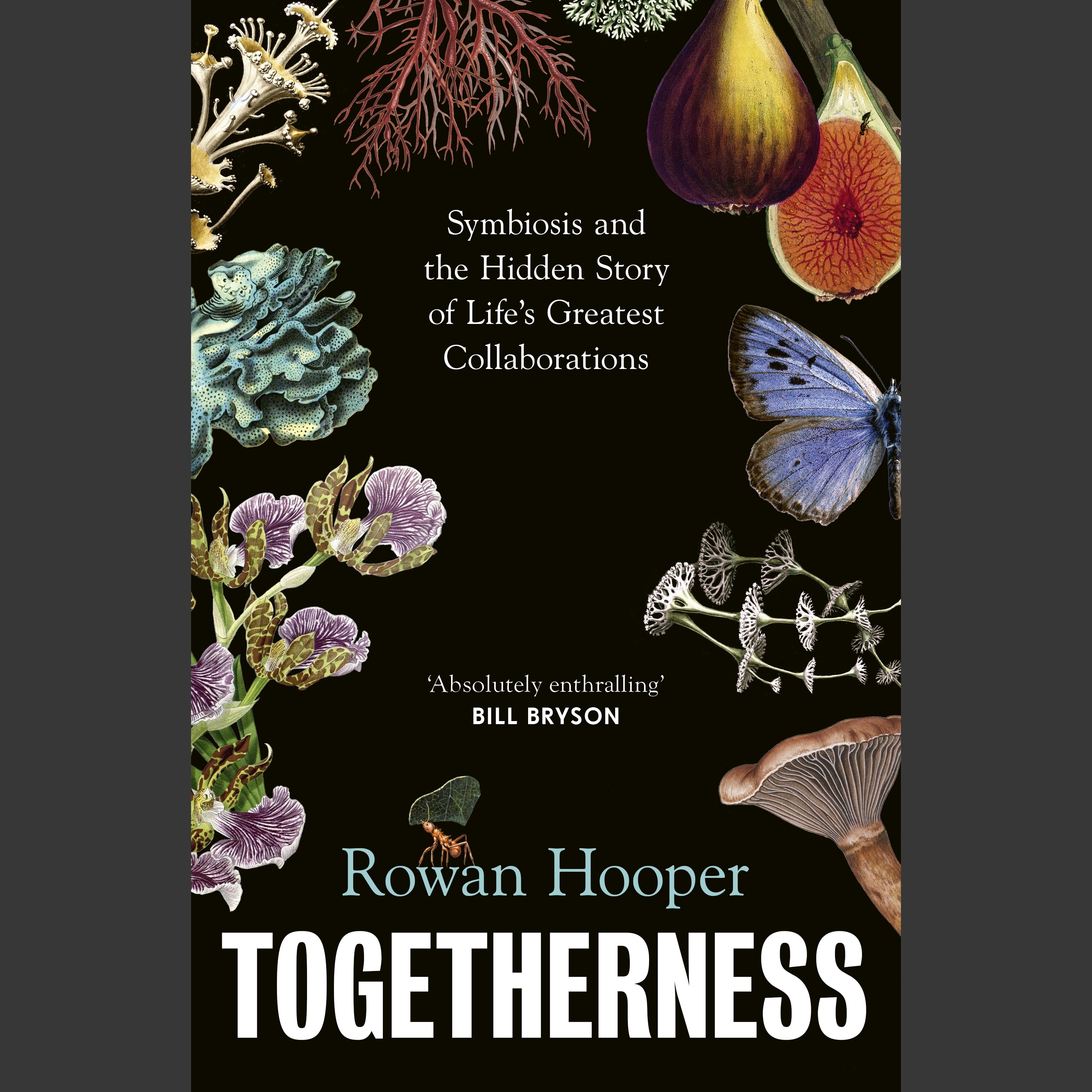 Togetherness - Symbiosis and the hidden story of life’s hidden ...