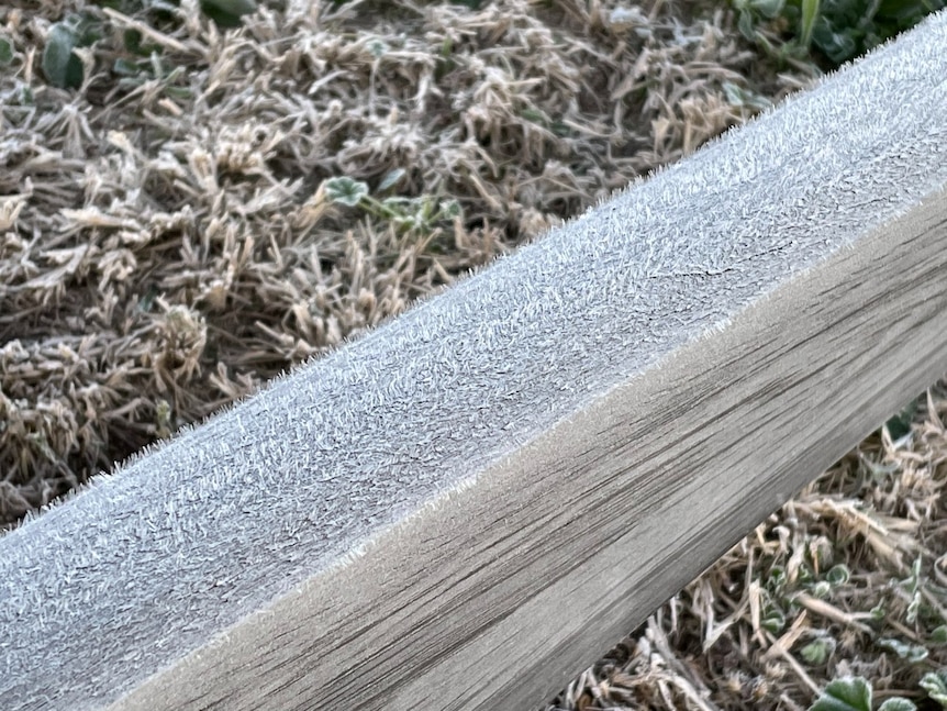 frost sitting on a fence rail 