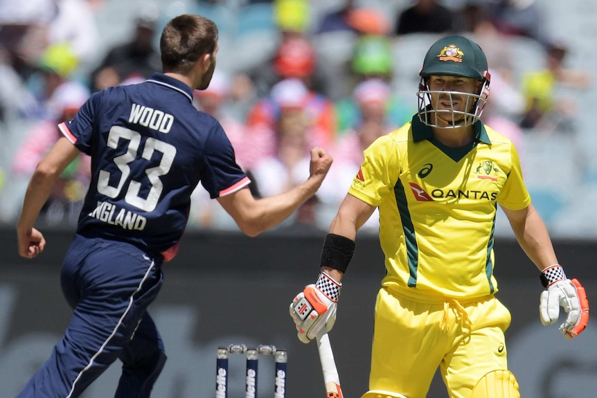 cricket player raises fist in the air in celebration after bowling out an opposing team player