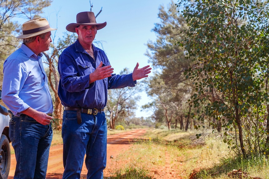 Two men standing on a farm with red dirt, grass, and trees.